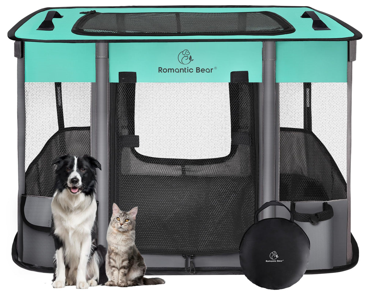 ROMANTIC BEAR dog playpen folded compactly for travel and storage.