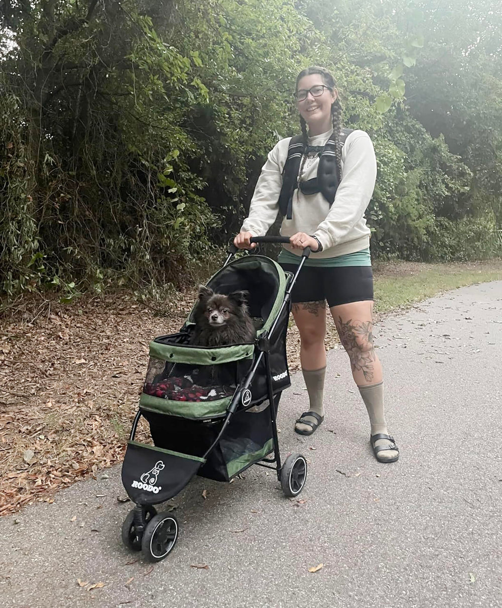 ROODO three-wheel pet stroller green folded view showing compact storage after trips