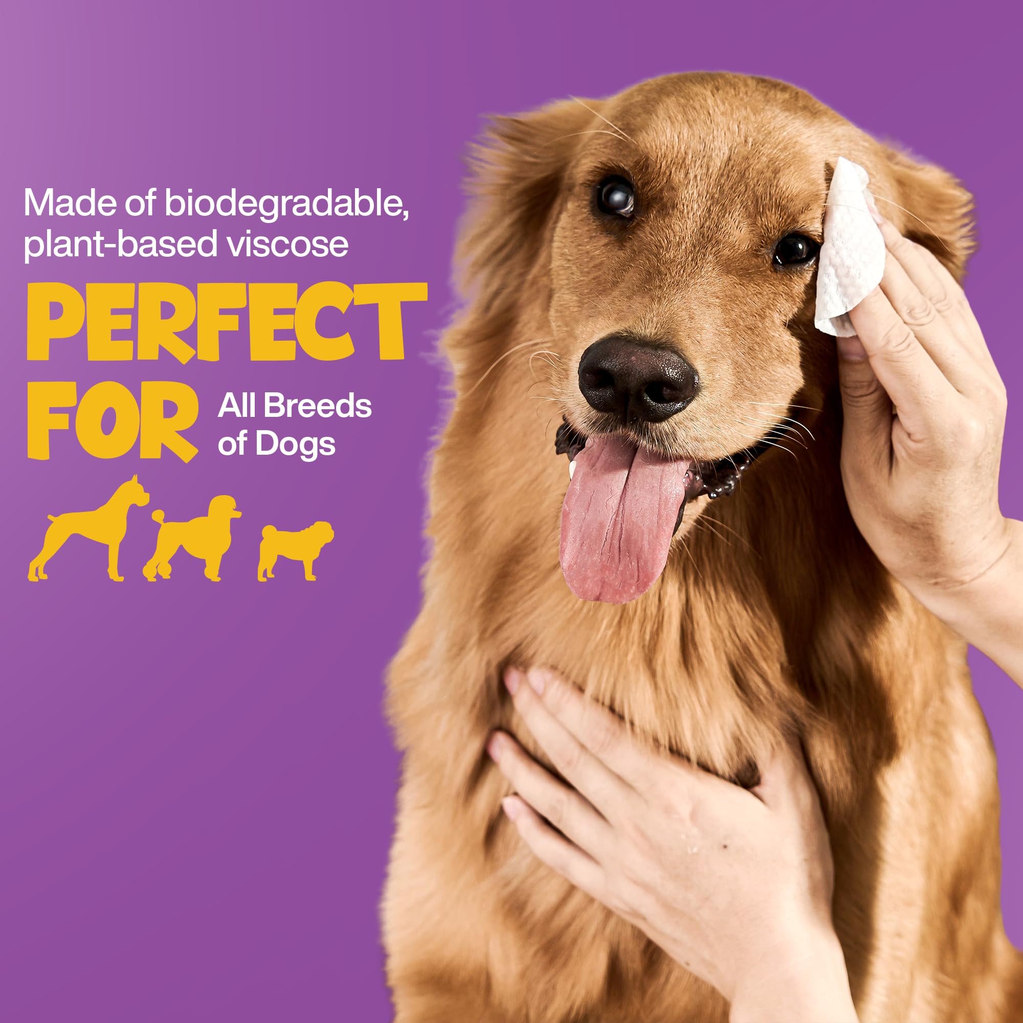 ROOFUS THE DOG Eye Wipes aftercare closeup shows clean, bright eye area.