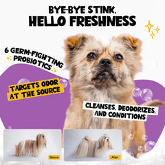 ROOFUS THE DOG probiotic shampoo lavender foam close-up for detangling and coat moisture.
