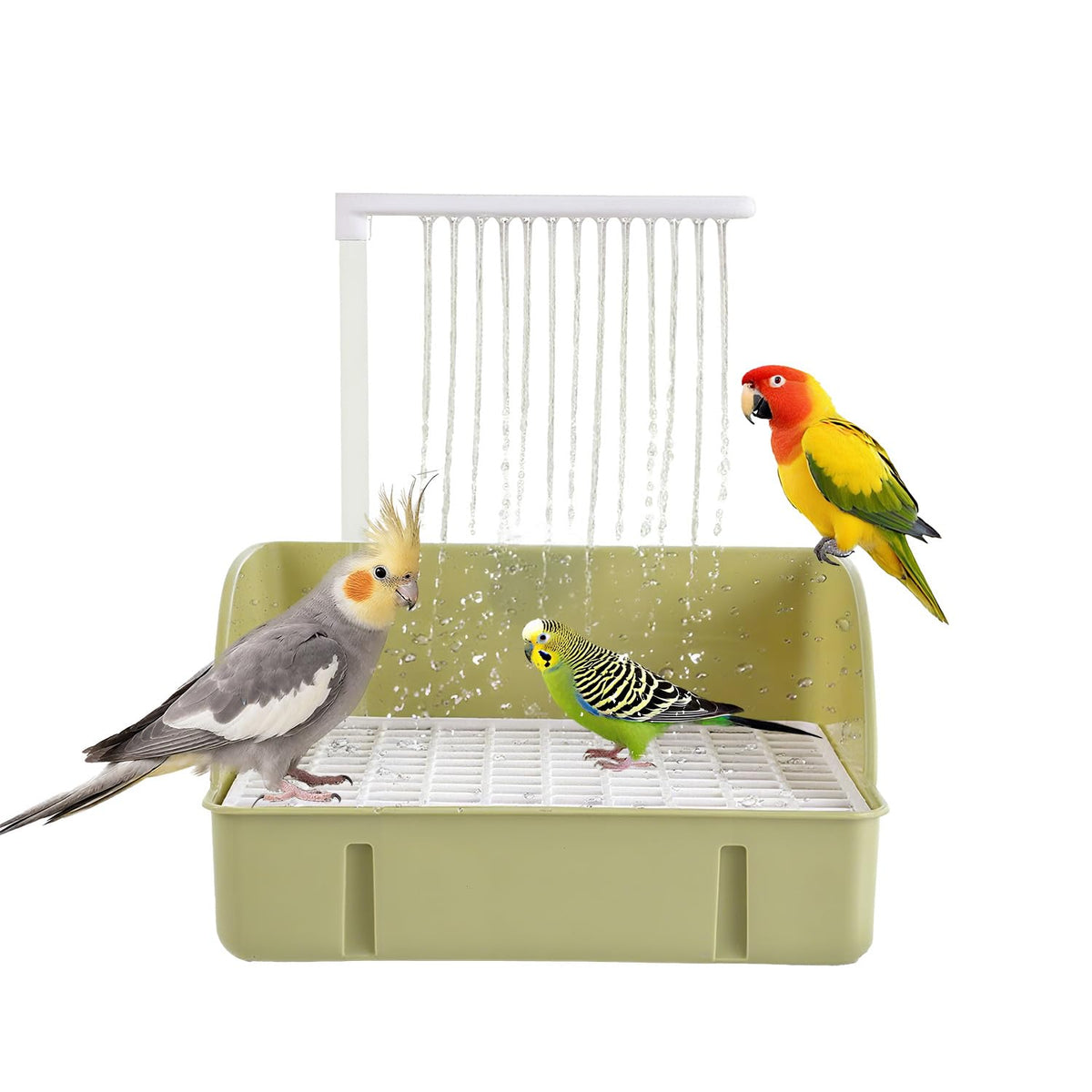 ROOJUNE Bird Bath quiet-pump enables peaceful, low-noise bathing for small birds
