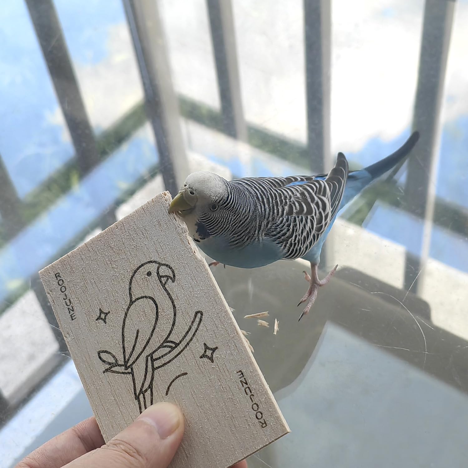ROOJUNE bird toys clip usage demonstrates cage enrichment setup.