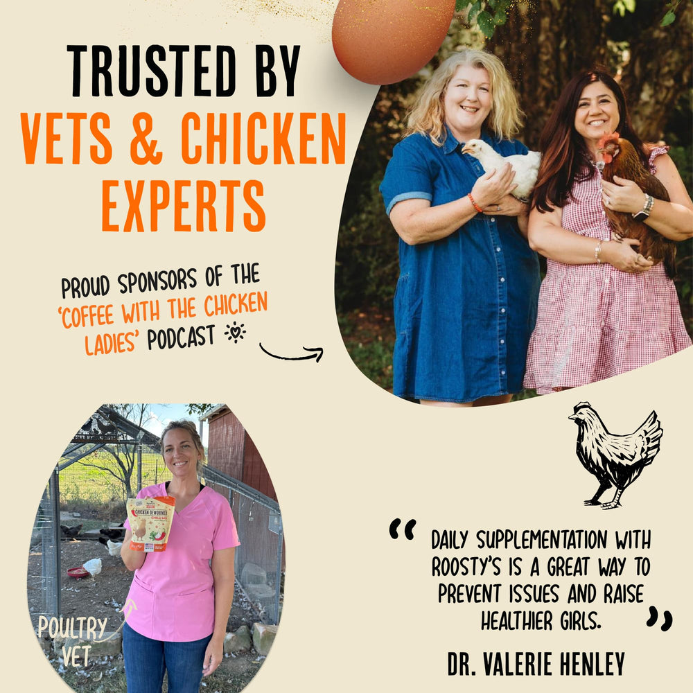 Roosty's Gold Dust Daily Egg Booster demonstrates a simple daily feed sprinkle for flock wellness.