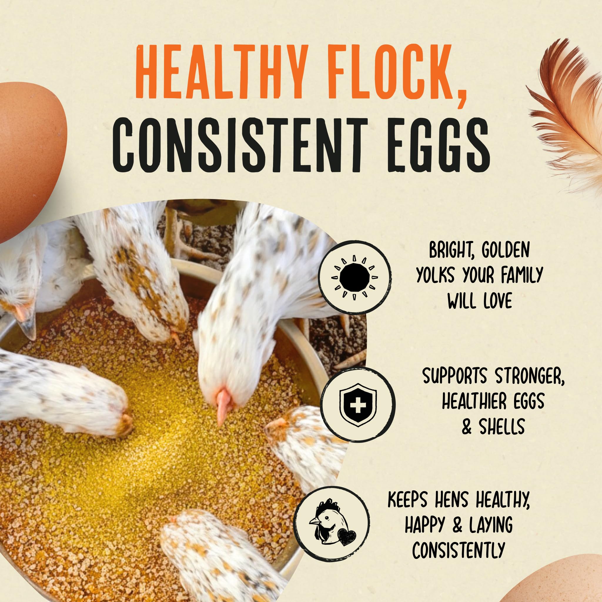 Roosty's Gold Dust Daily Egg Booster illustration suggests stronger shells and reduced breakage.