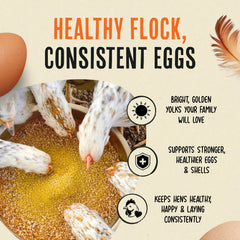 Roosty's Gold Dust Daily Egg Booster illustration suggests stronger shells and reduced breakage.