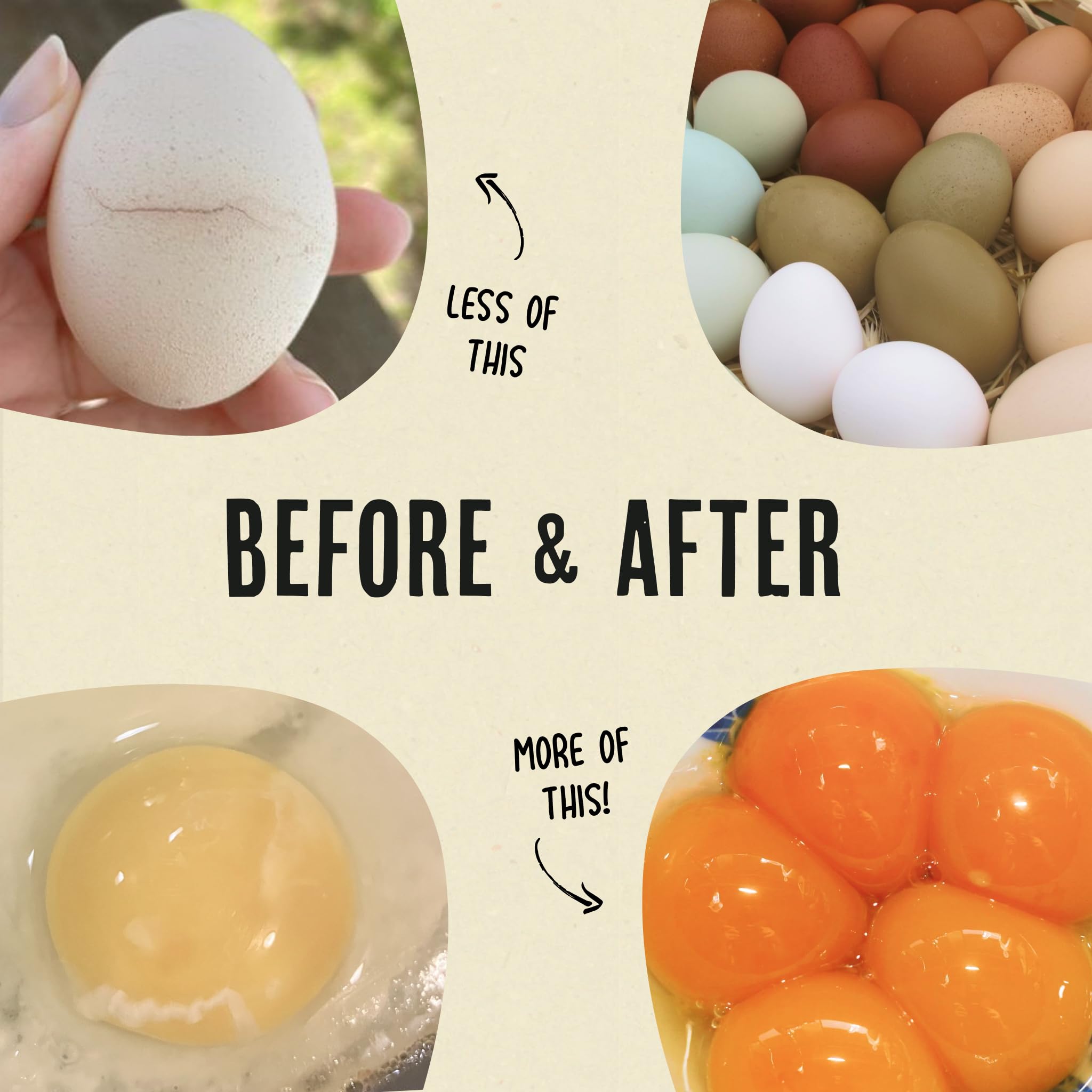 Roosty's Gold Dust Daily Egg Booster showcases US-made quality and local sourcing.