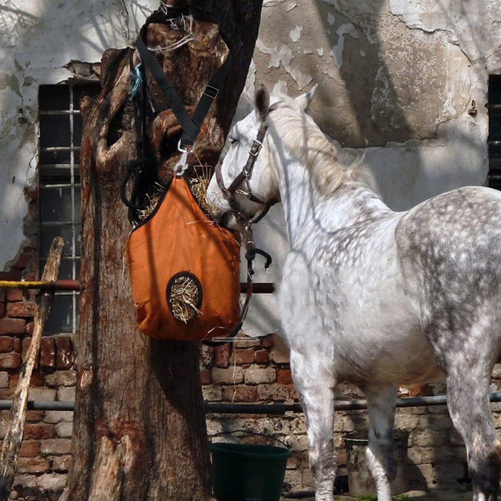 Rosemarie four-pack provides durable straps for stalls and trailers
