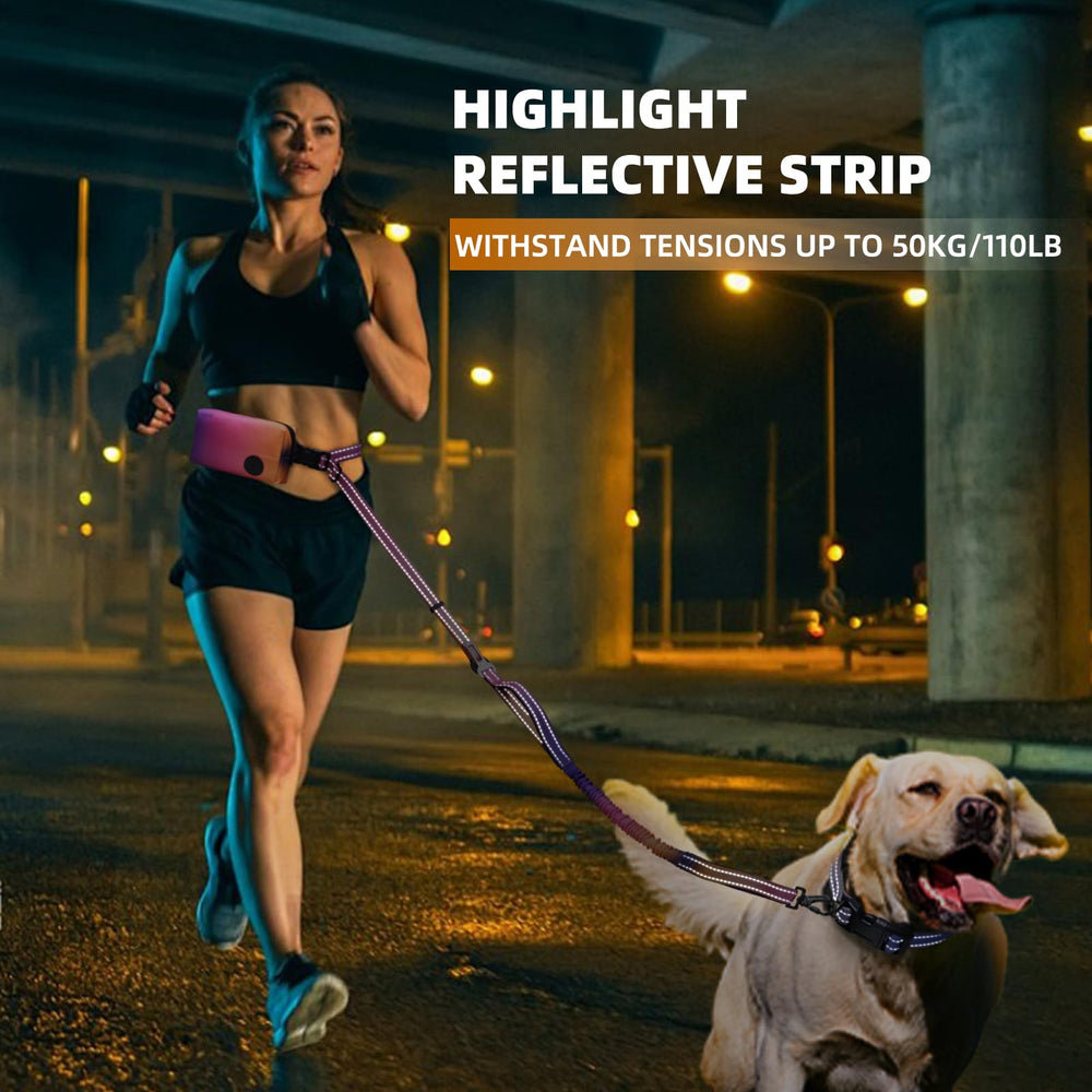 Roses&Poetry Car safety buckle keeps leash attached during car rides.