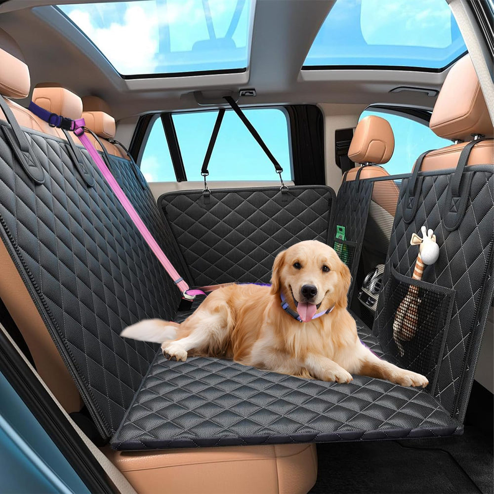 Roses&Poetry Hands Free Leash worn on a medium-large dog during a jog.