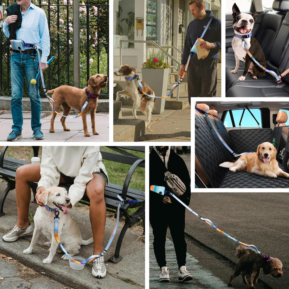 Roses&Poetry durable nylon leash designed for medium to large dogs daily adventures.