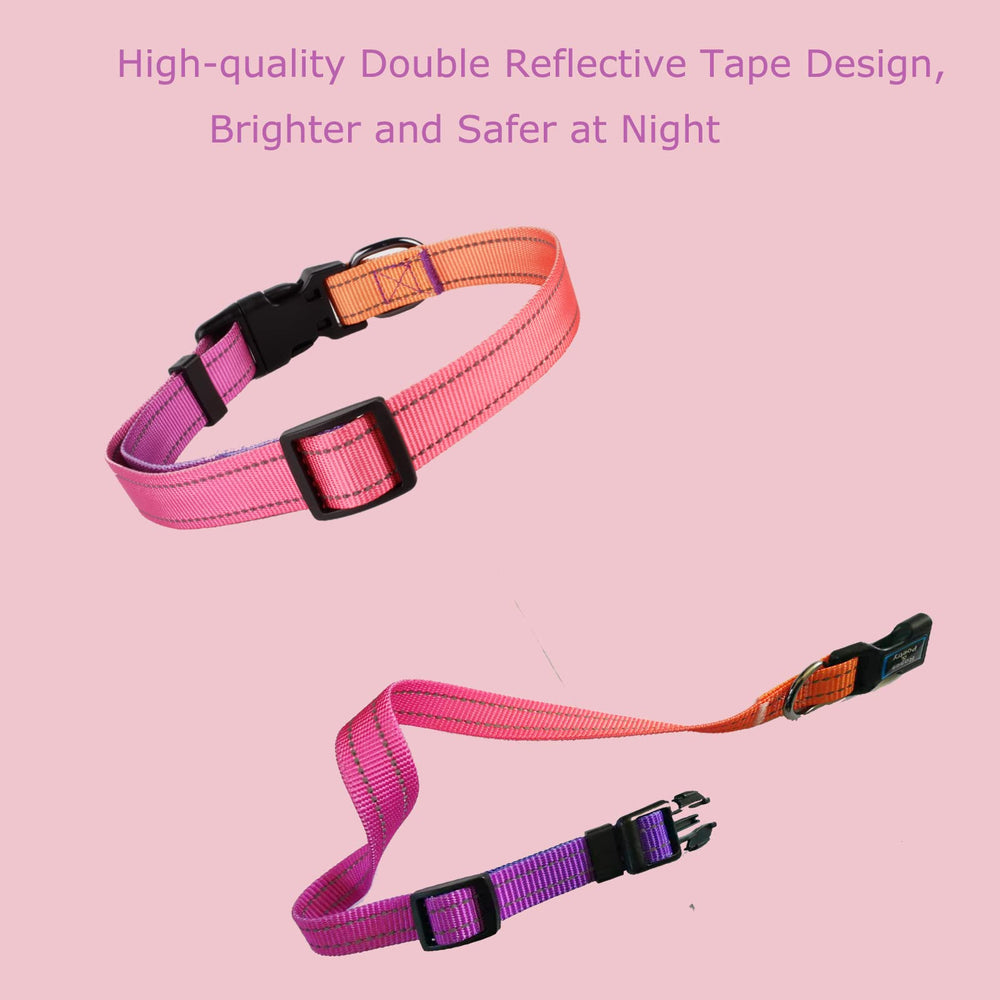 Rosesandpoetry dog collar Mistyrose; lightweight, all-day comfort for your pet.
