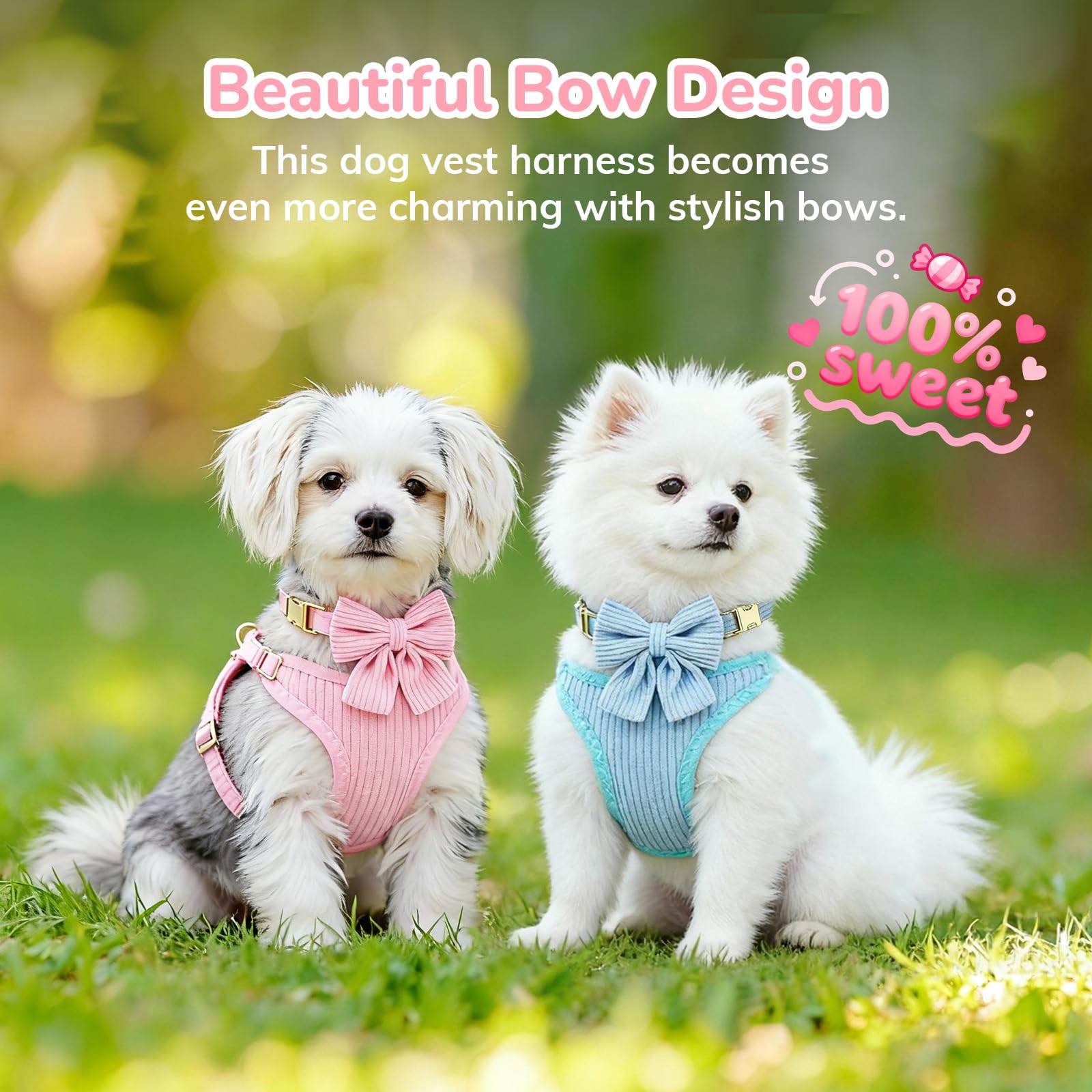 RoseYouth 59-inch leash ideal for comfortable daily walks and training.