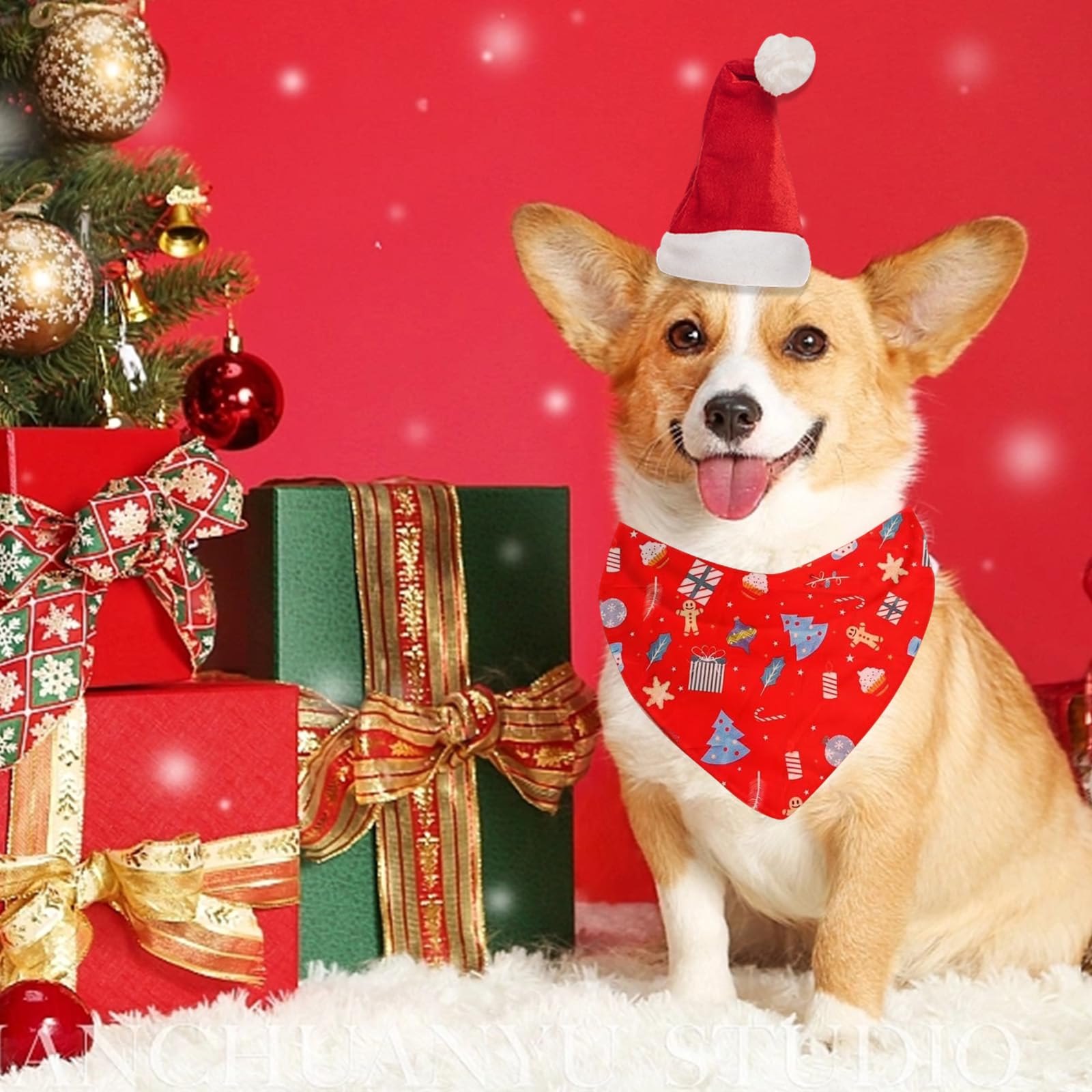 RoseYouth on-dog holiday styling demonstrates festive look for parties and photos.