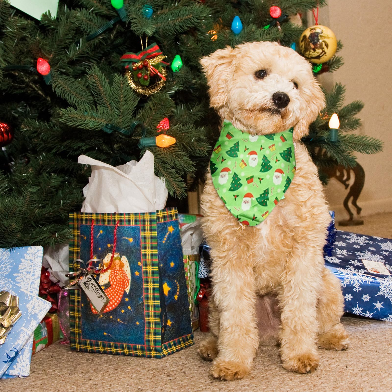 RoseYouth two-pack display shows red and green options for matching pets.