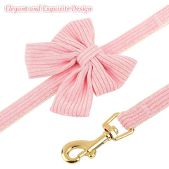 RoseYouth 5ft leash with bowtie enables coordinated, stylish strolls