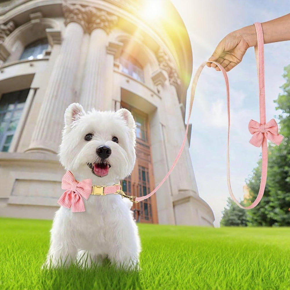 RoseYouth easy-clean collar and leash simplify post-walk maintenance