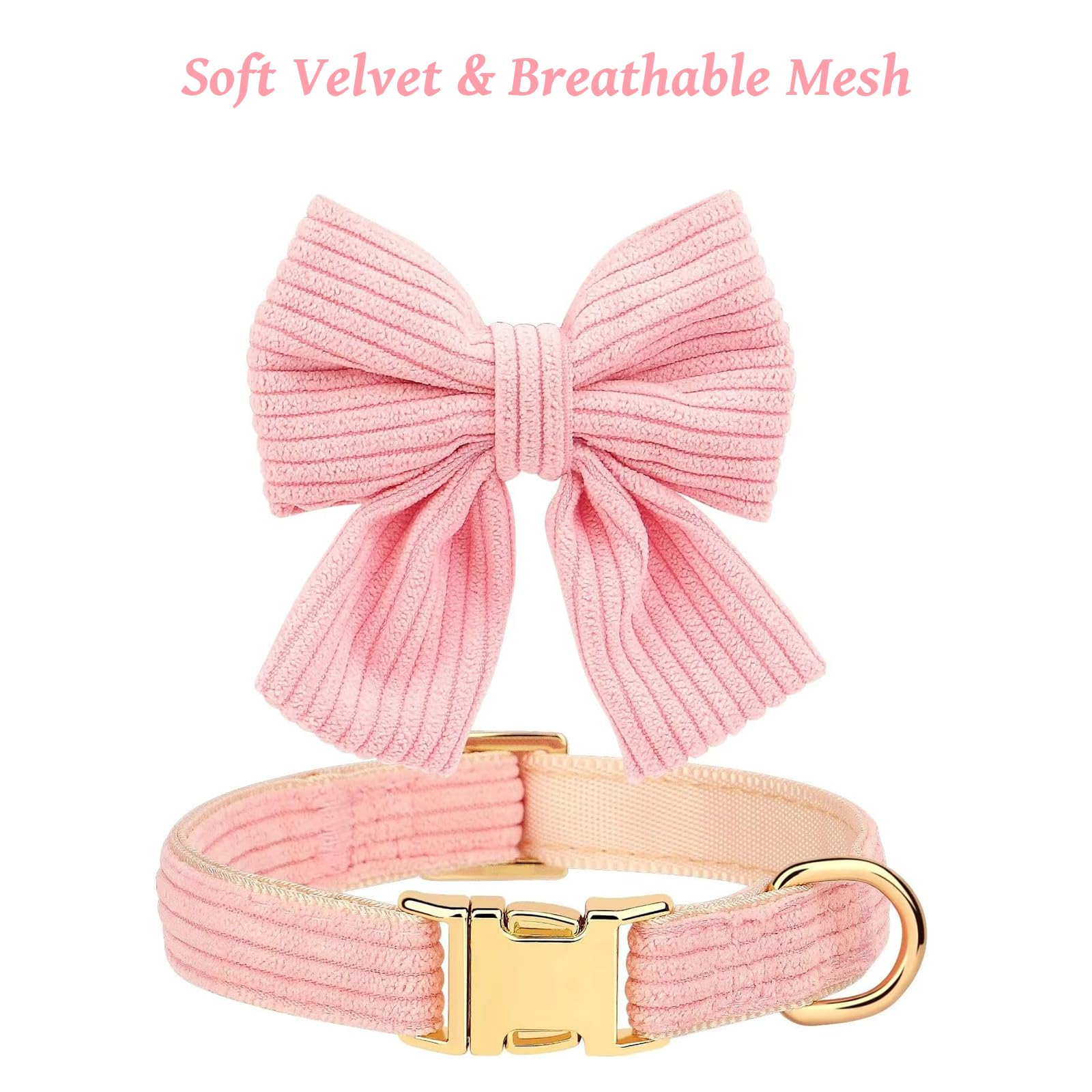 RoseYouth metal buckle collar shows durable hardware for long-lasting walks