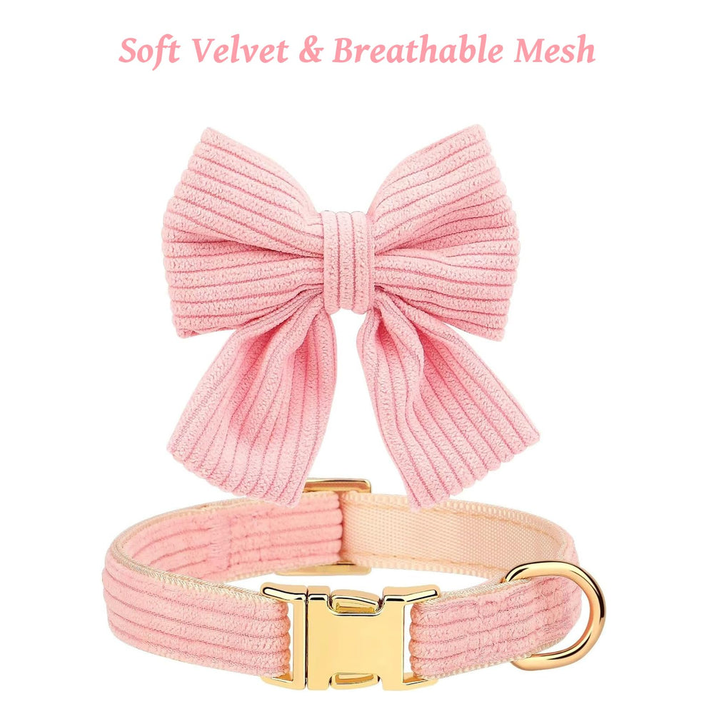 RoseYouth metal buckle collar shows durable hardware for long-lasting walks