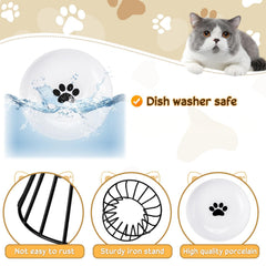 Roshtia black paw design cat bowls add a stylish, odor-resistant feeding option.
