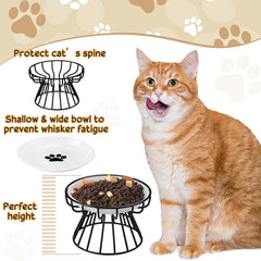 Roshtia dishwasher-safe cat dishes simplify cleanup after busy feeding sessions.