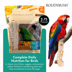 RoudyBush California Blend Pellets closeup shows granular texture for varied, appealing feeding.