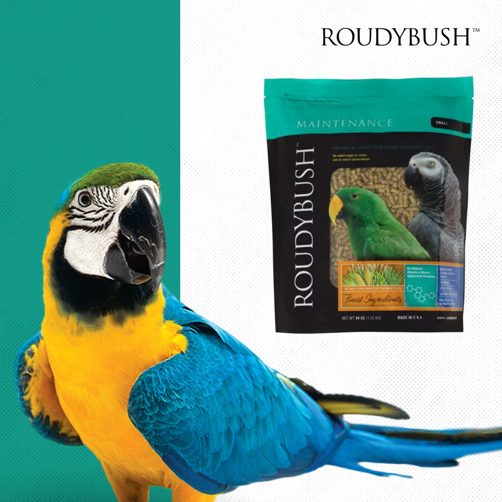 Roudybush Daily Maintenance side-info panel communicates product basics at a glance