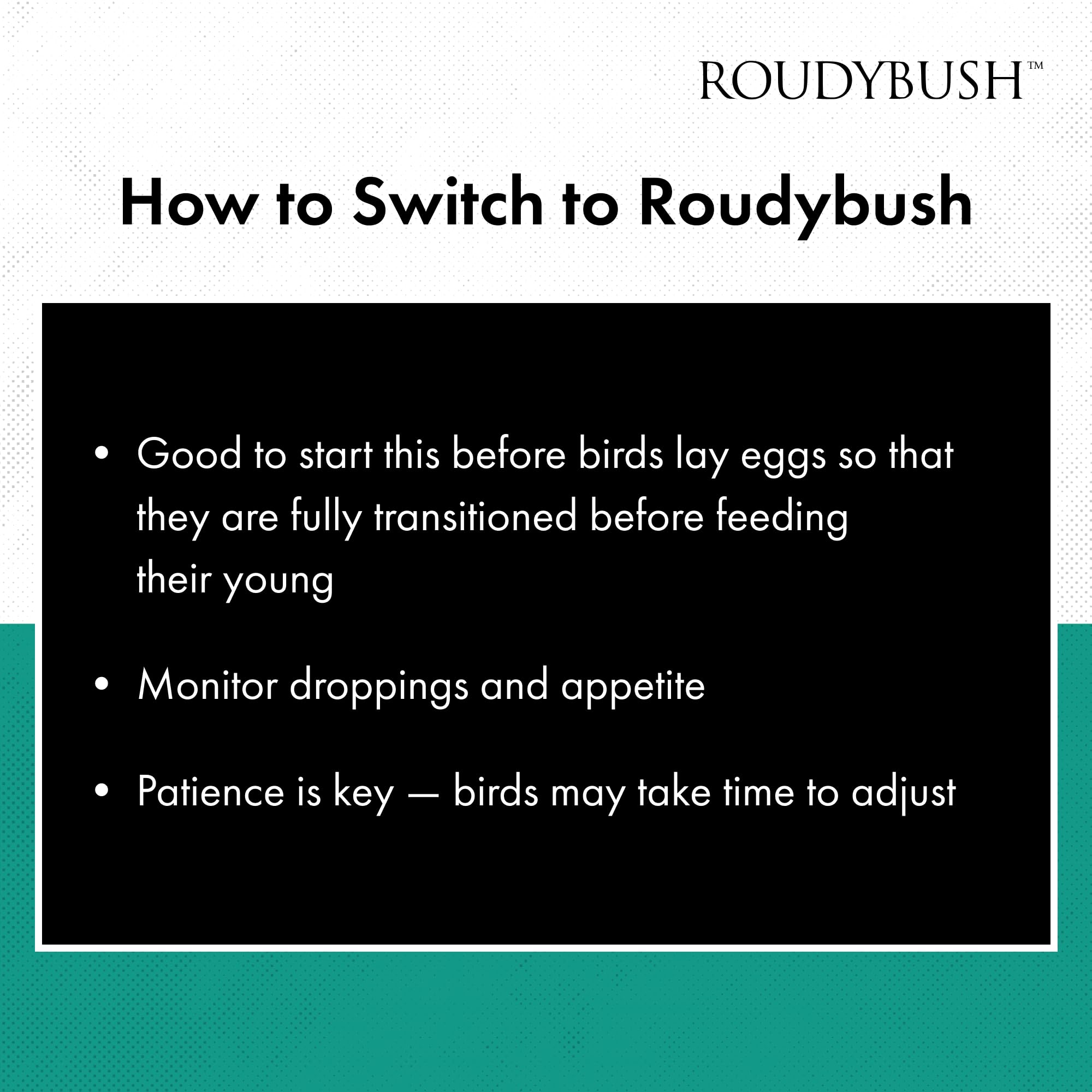 RoudyBush daily maintenance bird food ingredients close-up shows absence of artificial colors or sugars.