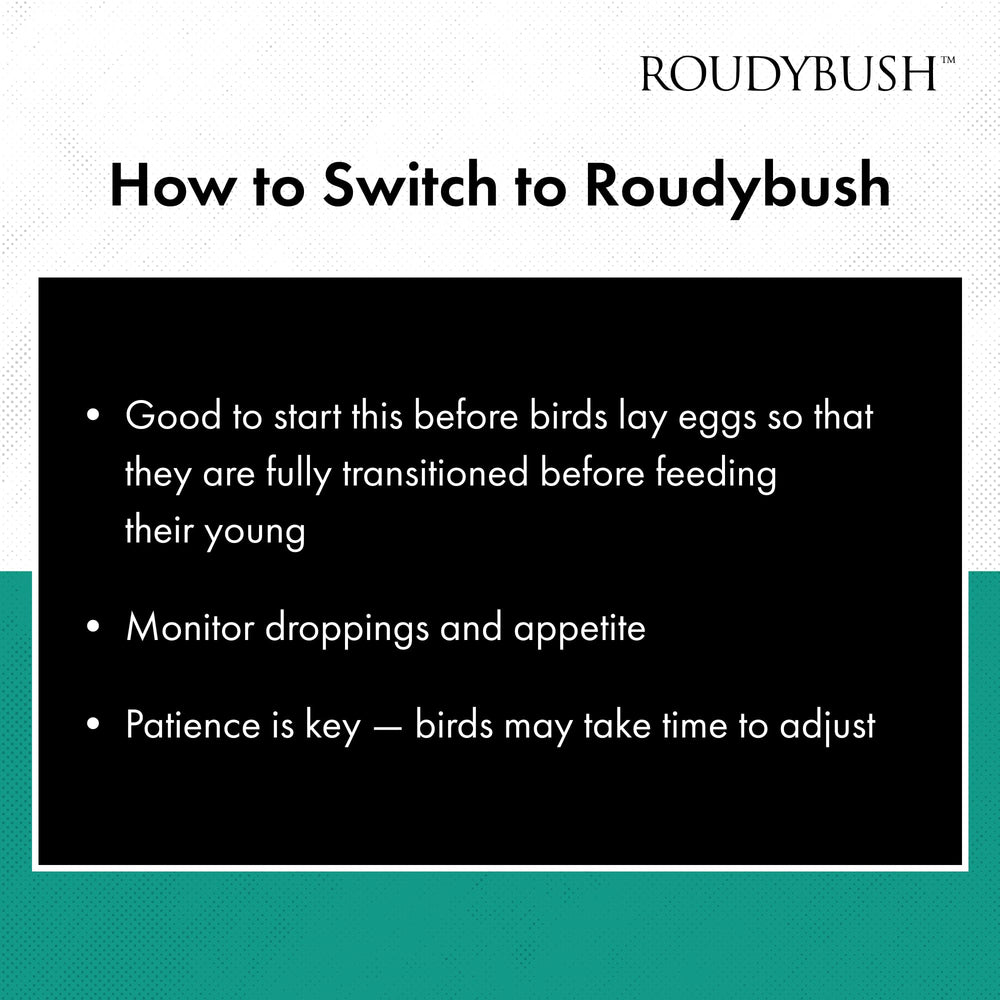 RoudyBush daily maintenance bird food ingredients close-up shows absence of artificial colors or sugars.