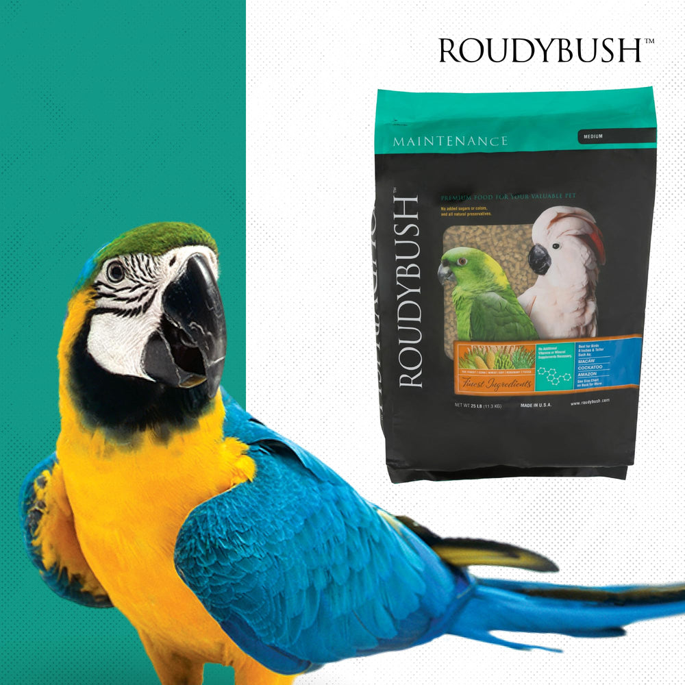 Roudybush daily maintenance serving dish – easy feeding and cleaner cleanup.