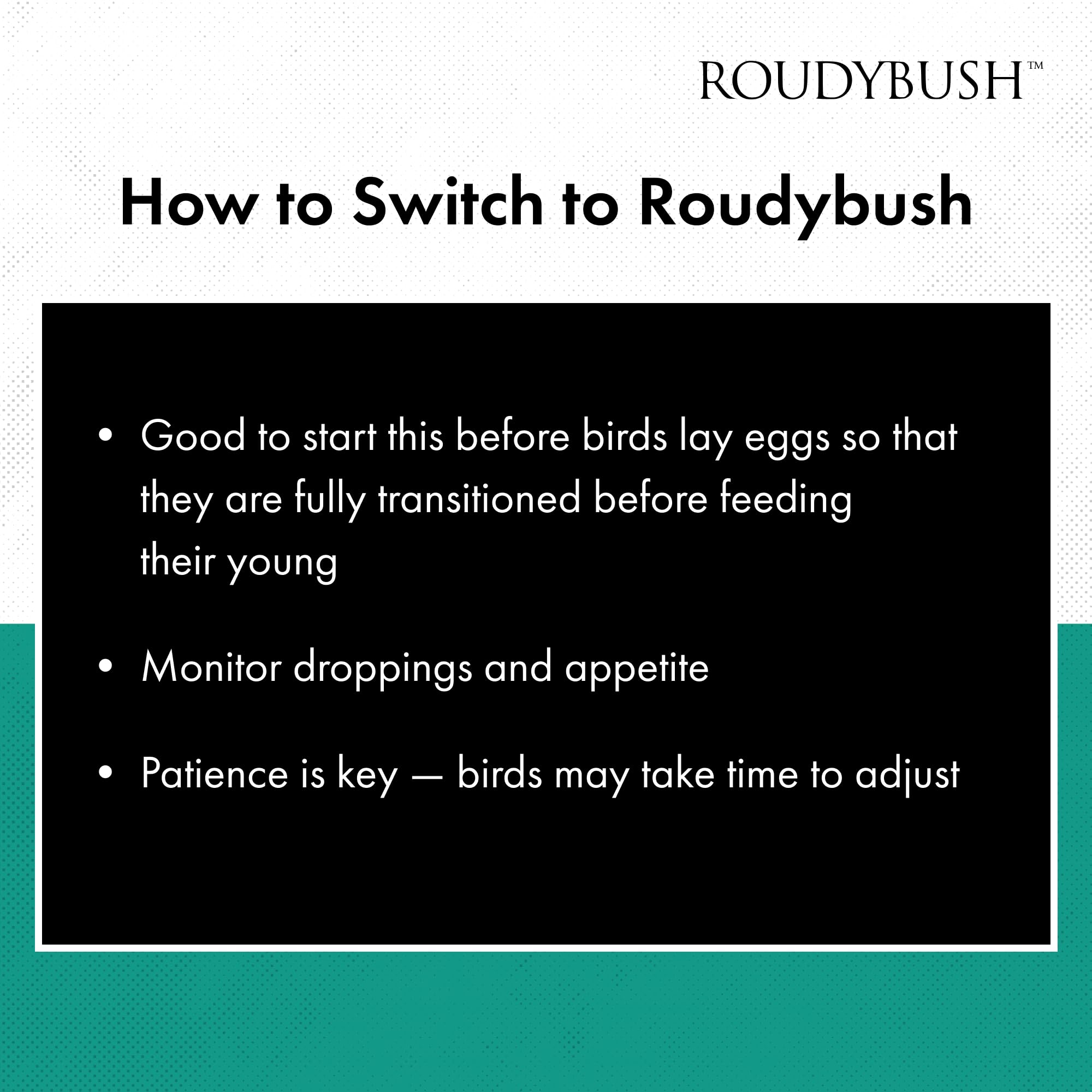 Roudybush Daily Maintenance bird-size-fit image shows pellets suited for conures and lovebirds.