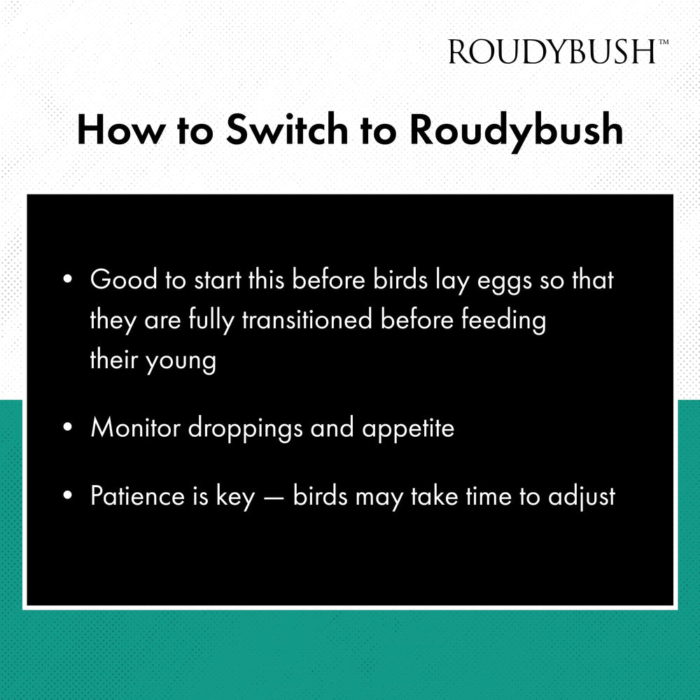 Roudybush Daily Maintenance bird-size-fit image shows pellets suited for conures and lovebirds.