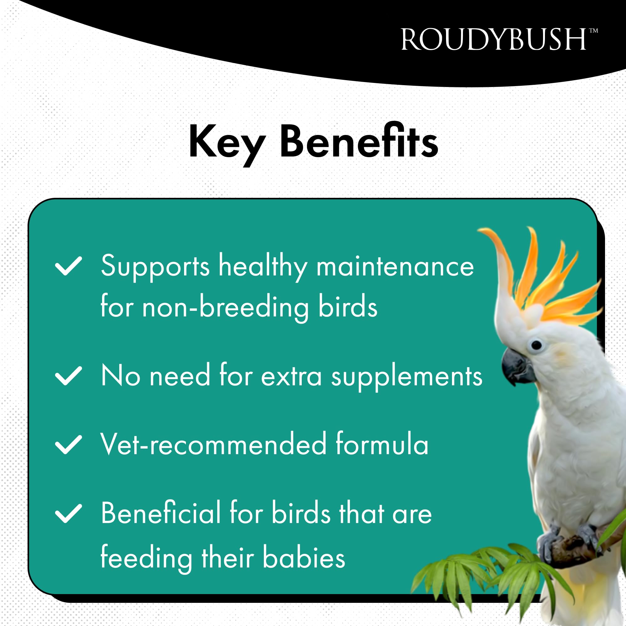 Roudybush Daily Maintenance pellets closeup highlights texture and uniform size for easy feeding.