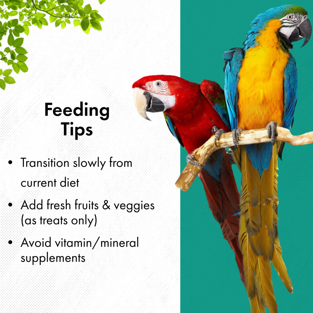 RoudyBush Senior Bird Diet nutrition label reveals essential vitamins and minerals.