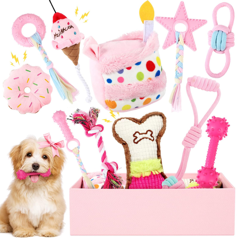 RoundFunny 11-pcs dog birthday toy set in a gift box for celebrations.