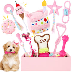 RoundFunny 11-pcs dog birthday toy set in a gift box for celebrations.
