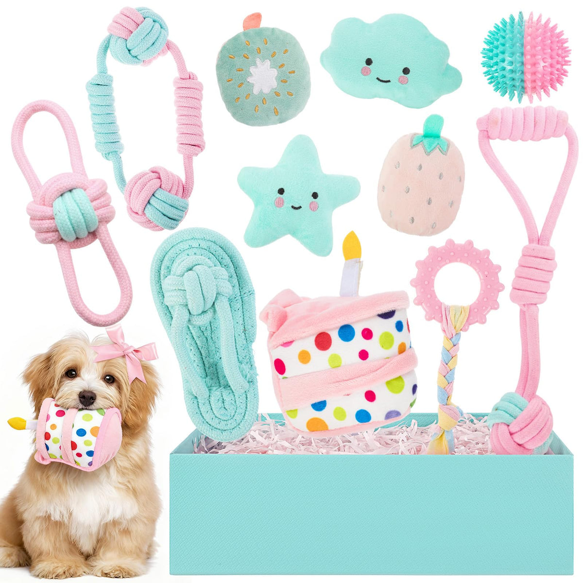 RoundFunny dog birthday toys set box, gift-ready presentation for celebrations and play.