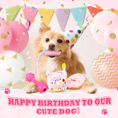 RoundFunny durable chew toys and ropes provide long-lasting chewing fun for dogs.