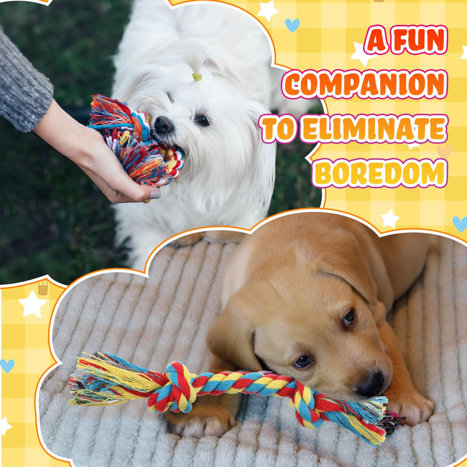 RoundFunny dog toy for interactive play and training sessions with bright colors