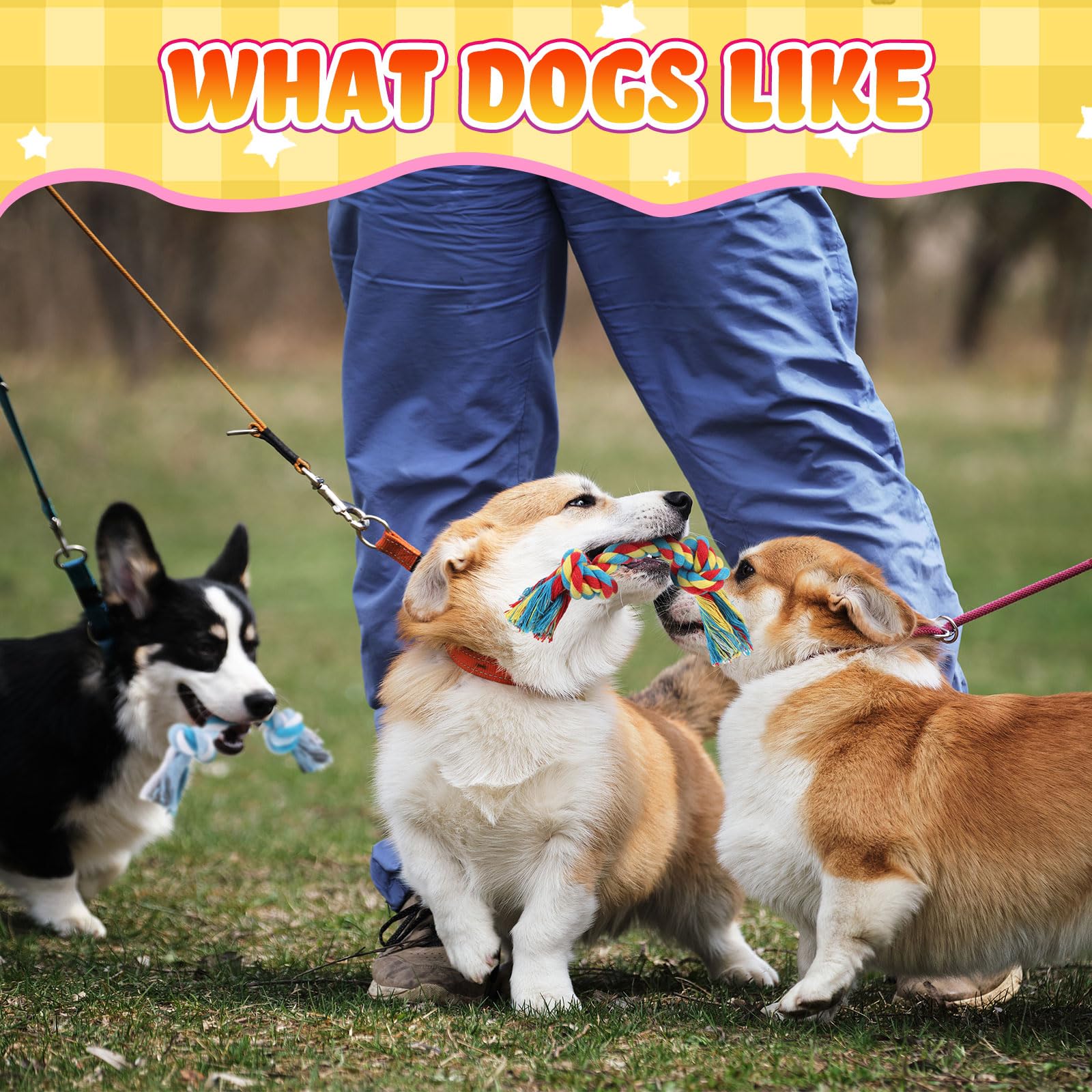 RoundFunny durable rope toy sturdy chew item ideal for aggressive chewers