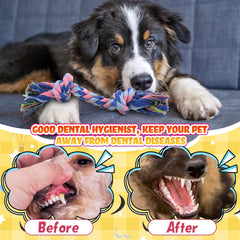 RoundFunny knot rope toy multi-color set boosts interactive fetch and tug sessions