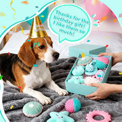 RoundFunny pink aqua gift box showcases stylish packaging for dog birthday gifts.