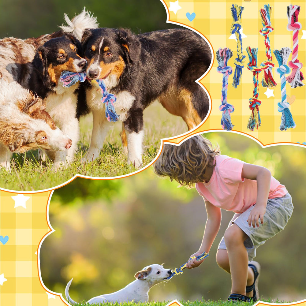 RoundFunny puppy teething toy in color variety supports calm chew time