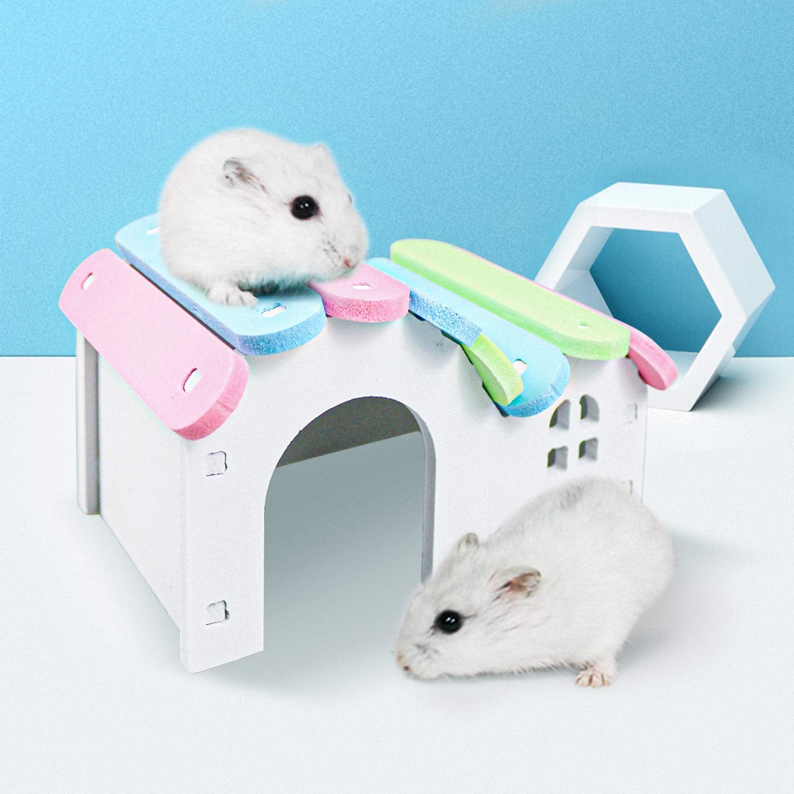 Roundler dwarf hamster swing offers gentle, engaging motion for play