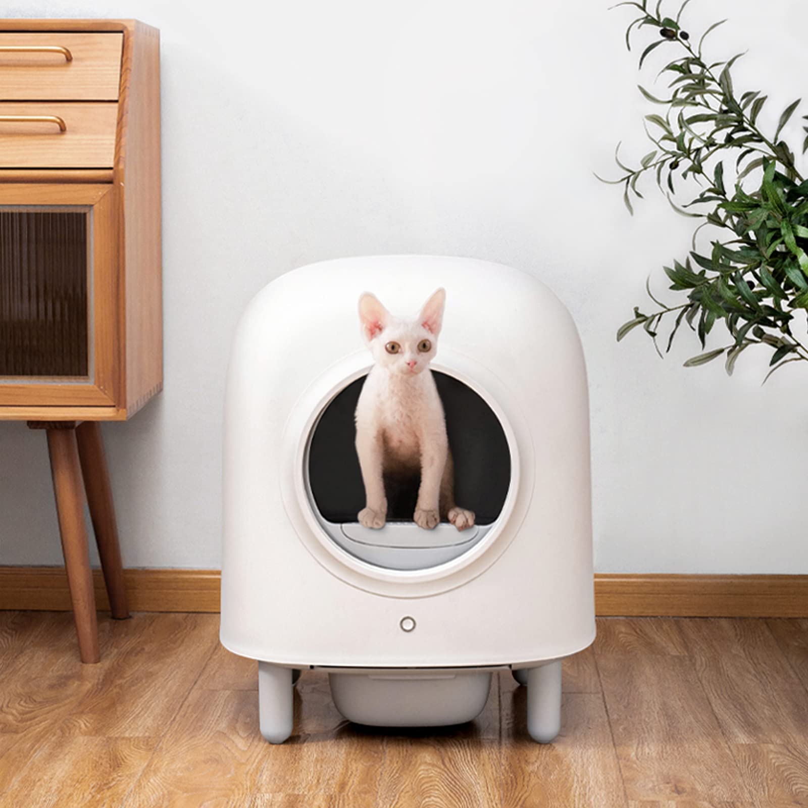 RoundT2 waste bags reveal tear-resistant material for secure containment and cleaner cleanup.