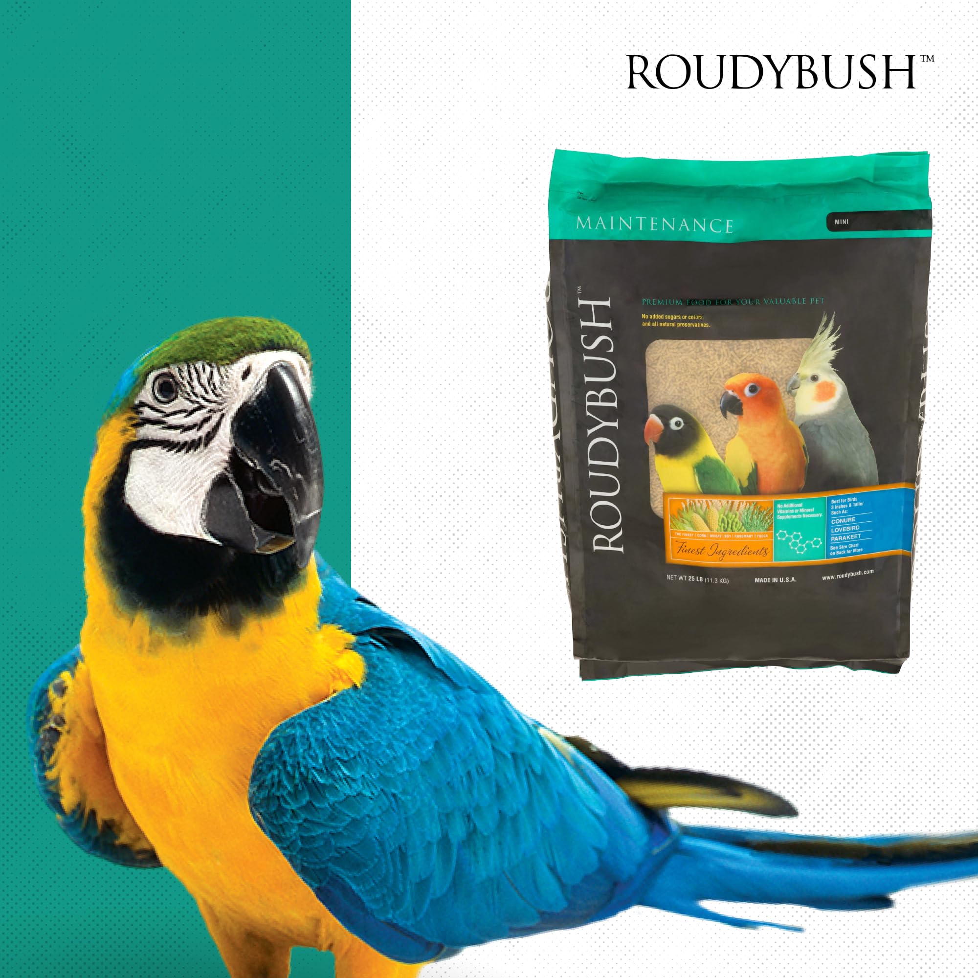 RoudyBush bird enrichment active bird image suggests engaging diets support interactive time.