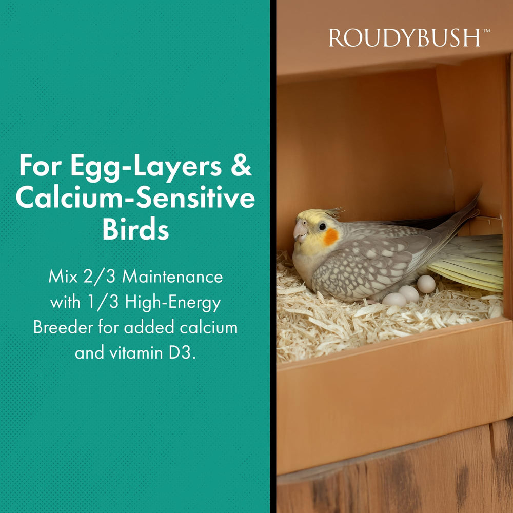 RoudyBush Daily Maintenance bird feeder image emphasizes clean feeding and reduced waste.