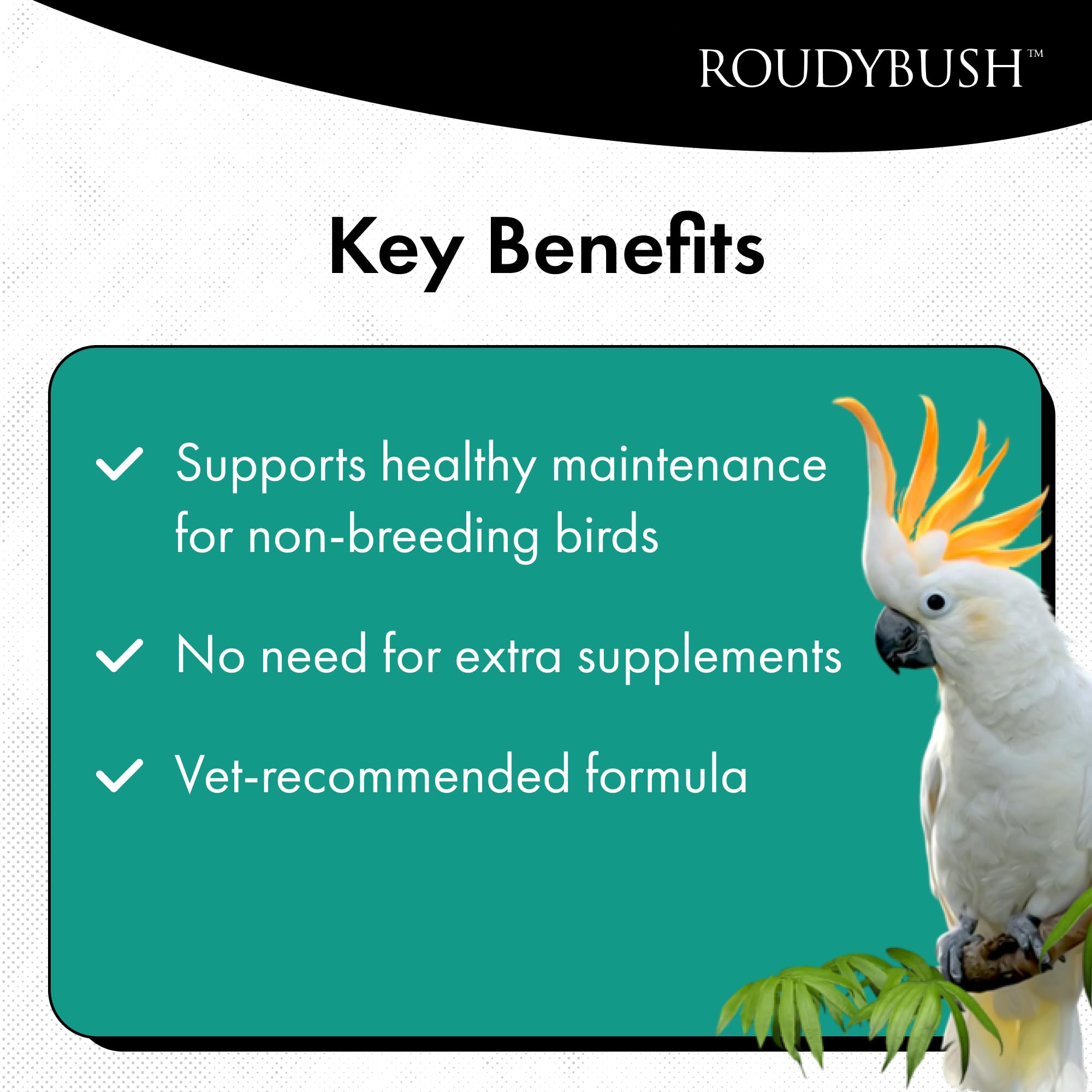 RoudyBush Daily Maintenance serving dish demonstrates easy portioning for small to medium birds.