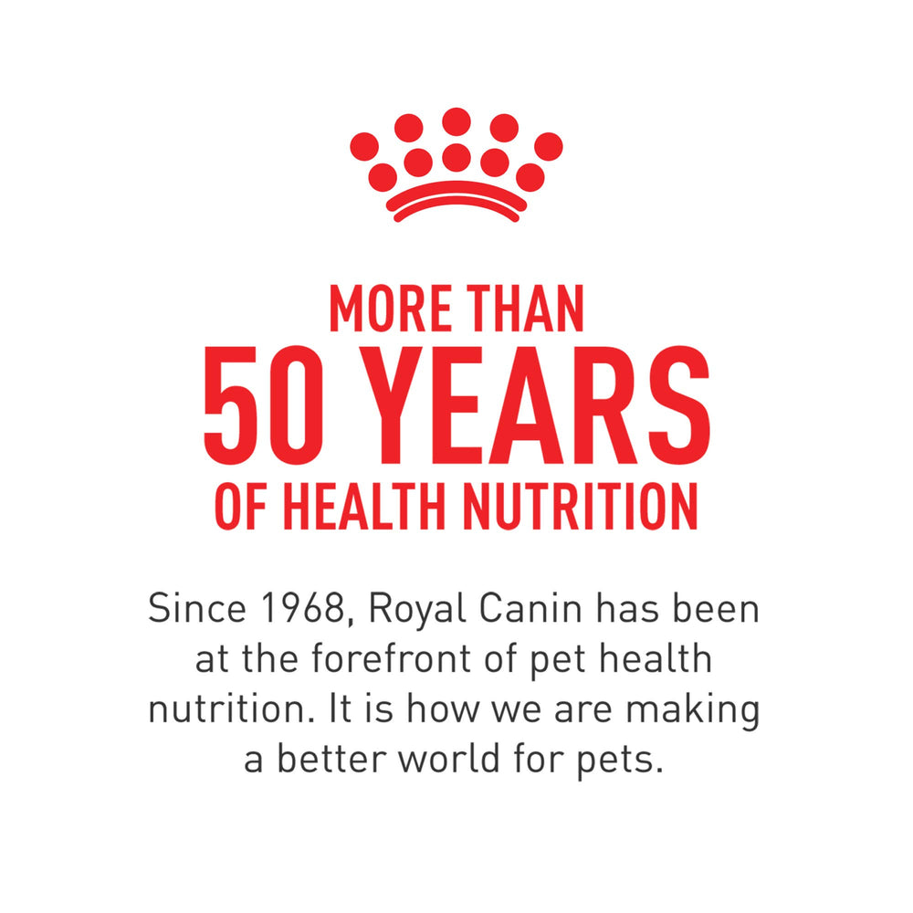 Royal Canin Adult dog chews designed for convenient daily use.