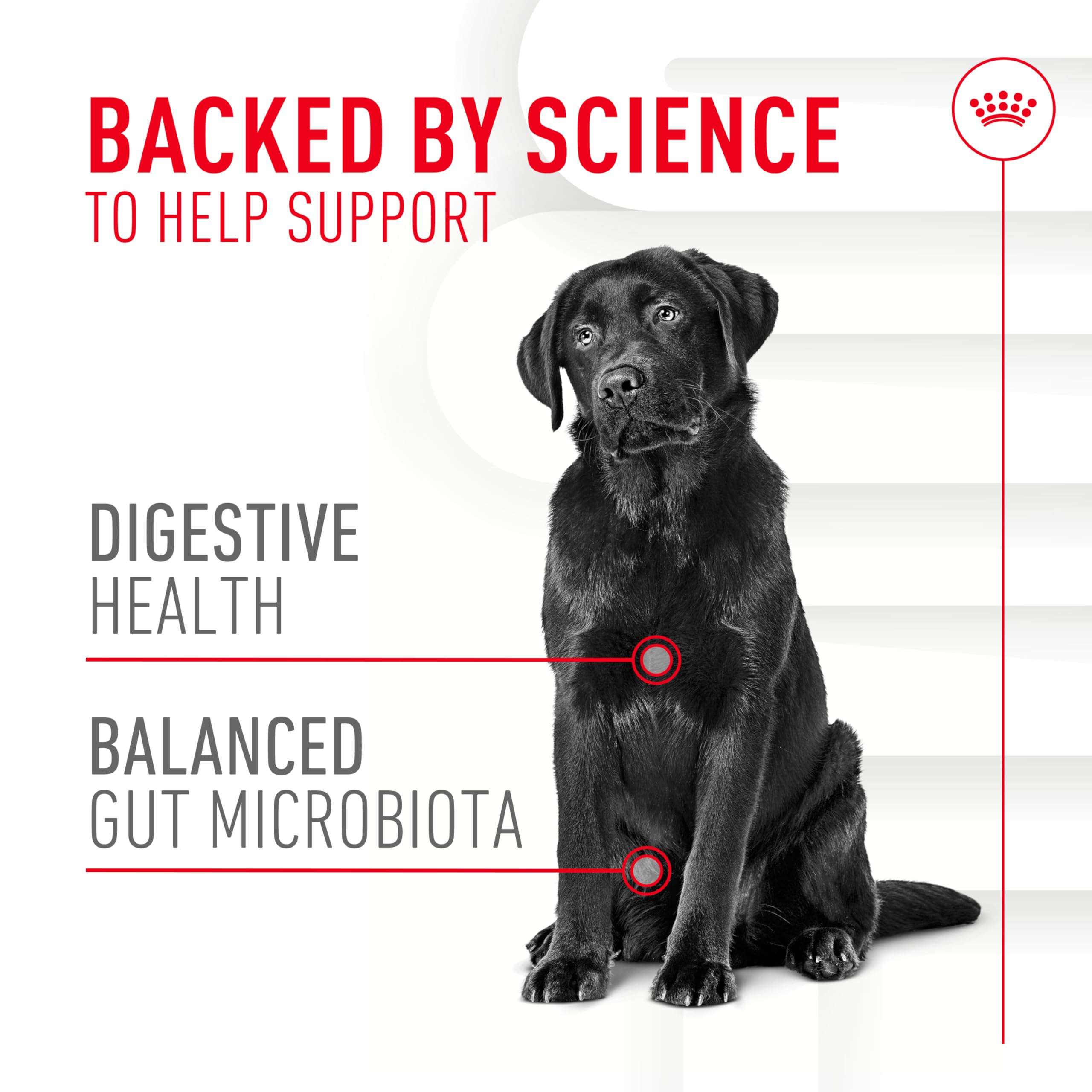 Royal Canin Beta-glucans postbiotics highlighting digestion support and stool quality.