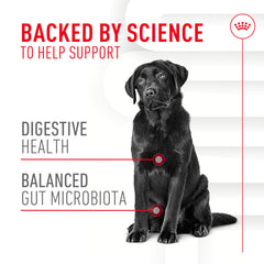 Royal Canin Beta-glucans postbiotics highlighting digestion support and stool quality.